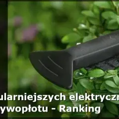 Nożyce do żywopłotu jakie wybrać, aby uniknąć błędów przy zakupie