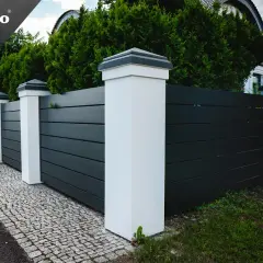 Tuja Brabant ile od płotu? Poznaj kluczowe zasady sadzenia
