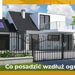 Co posadzić wzdłuż ogrodzenia, by stworzyć piękny i gęsty żywopłot