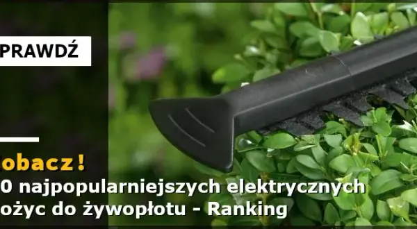 Nożyce do żywopłotu jakie wybrać, aby uniknąć błędów przy zakupie