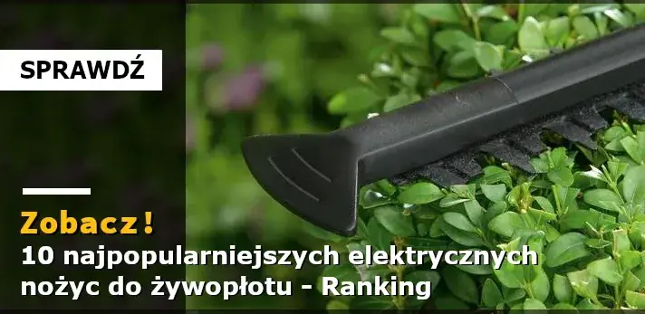 Nożyce do żywopłotu jakie wybrać, aby uniknąć błędów przy zakupie